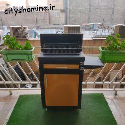 باربیکیو گازی چرخدار